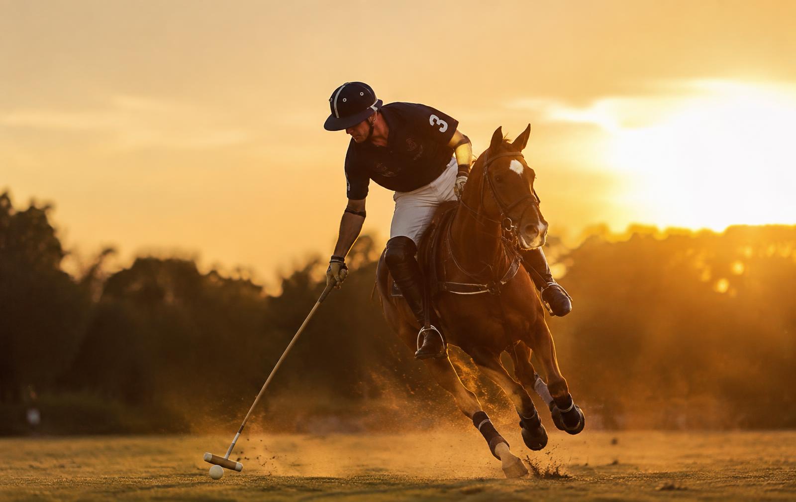 Partido de polo en cancha
