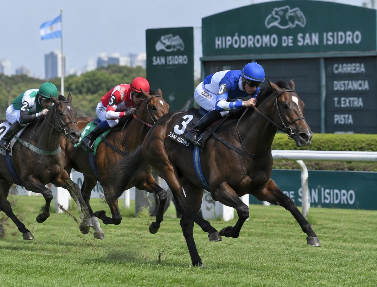 Cancha de turf con jinetes en entrenamiento en el hipódromo